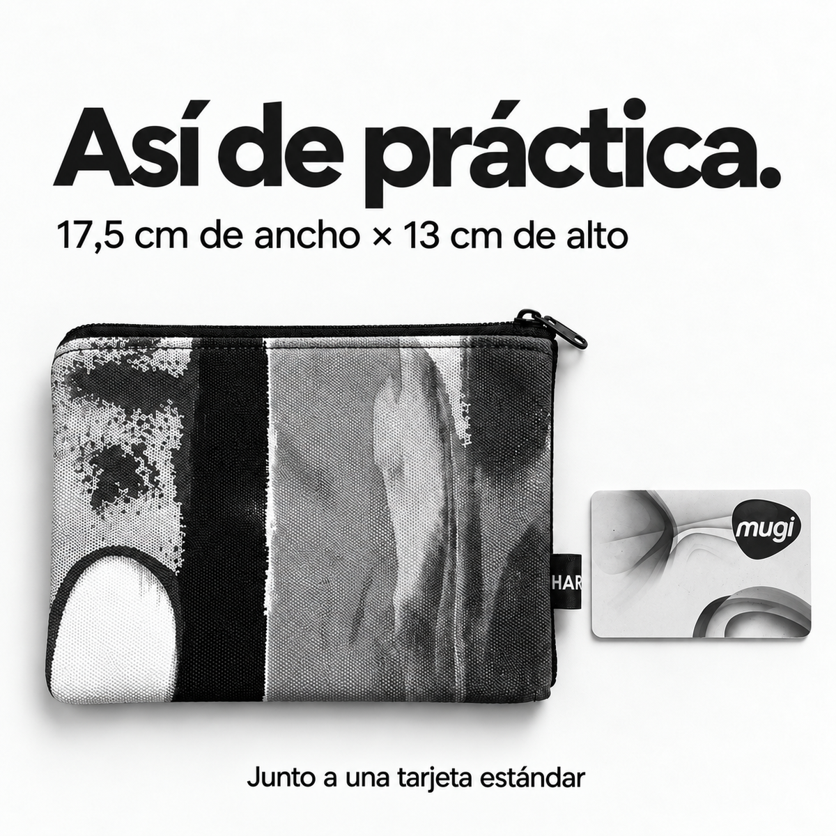 MAXI CARTERA
