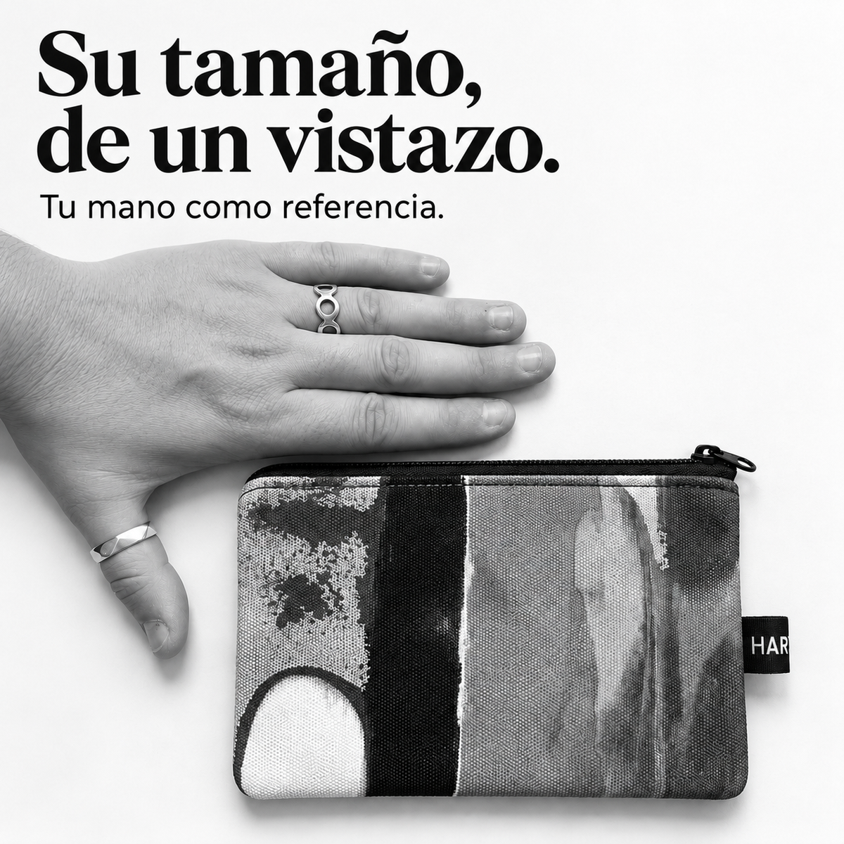 MAXI CARTERA