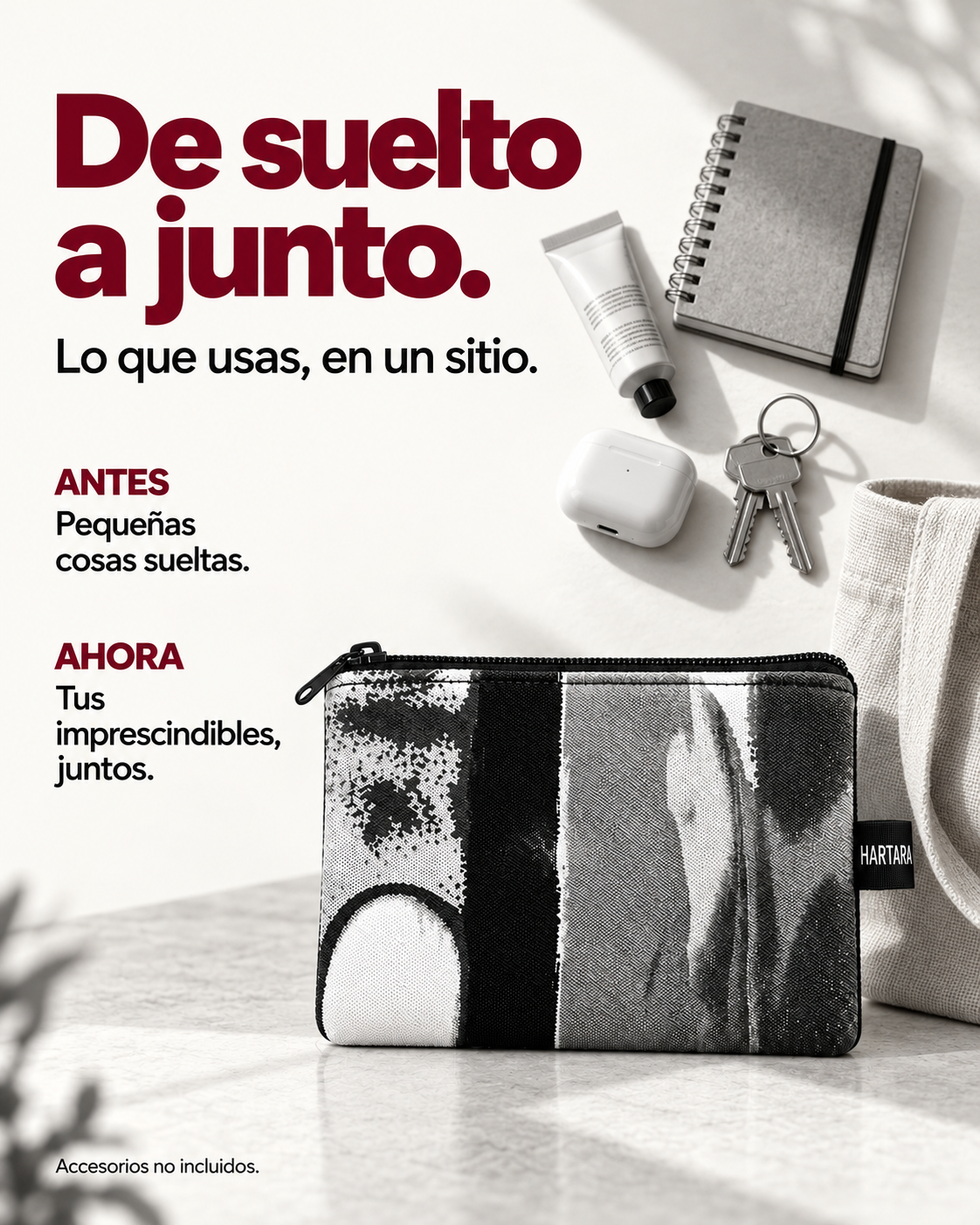 MAXI CARTERA