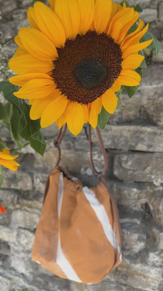 Bolso ama